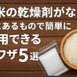 お米の乾燥剤がないときの代用品5選｜家にあるもので簡単保存！